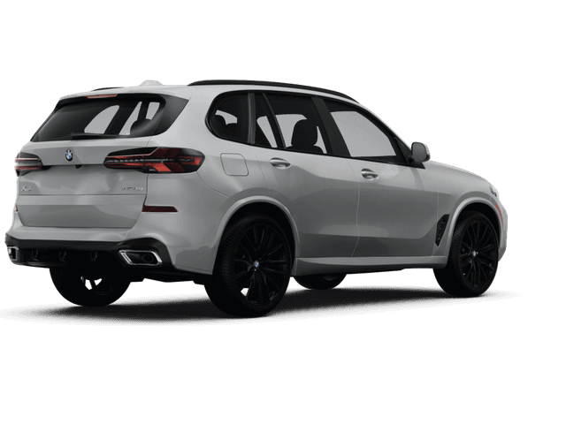 BMW X5  - Back view BMW X5  - Back view